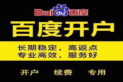 案例对比：不同竞价推广策略的优劣分析